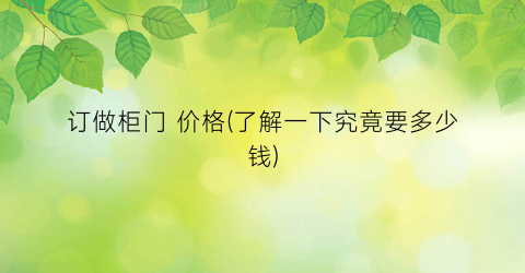 订做柜门 价格(了解一下究竟要多少钱)